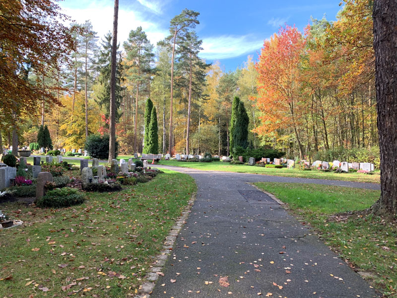 Das Bild zeigt einen Weg auf dem Waldfriedhof bei blauem Himmel.